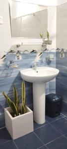 a bathroom with a sink and a potted plant at Eco nest marakolliya in Tangalle +48 photos