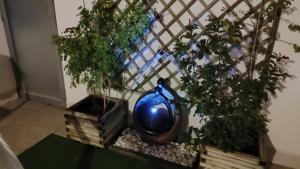 Vonkajšia záhrada v ubytovaní Apartamento EL REAL - Espartinas - SEVILLA