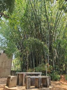 Fotografie z fotogalerie ubytování Villa Landy v destinaci Ambohibato