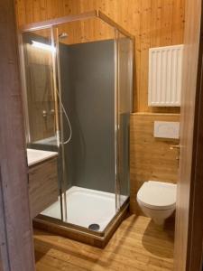 a bathroom with a shower and a toilet at Grande location de vacances - consulte mon calendrier sur whts ap!! in Malmedy