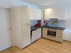 Kuchyň nebo kuchyňský kout v ubytování Appartment Dutzler