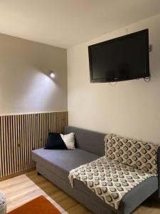 a living room with a couch and a flat screen tv at Hôtel des Beaux Arts in Chambéry