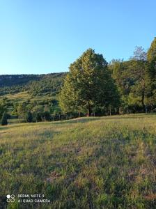 Príroda v okolí apartmánu