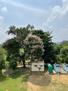 Landskap semula jadi dekat dengan apartmen