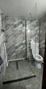 a bathroom with a toilet and a glass shower at Cabana Dochita 2 in Ceahlău