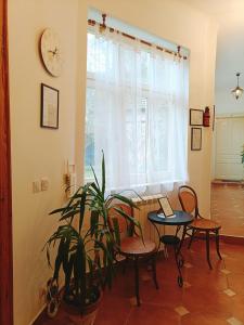 Foto sihtkohas Sremski Karlovci asuva majutusasutuse Šomin lagum - Guest house galeriist