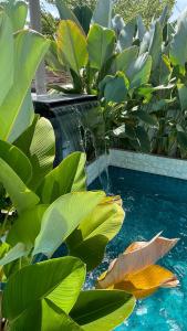 a swimming pool with green plants and a waterfall at ANJUNG KASEH Villa Bukit Katil 4bedroom with Swimming Pool in Melaka