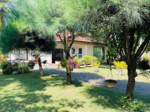 Giardino di The Beez
