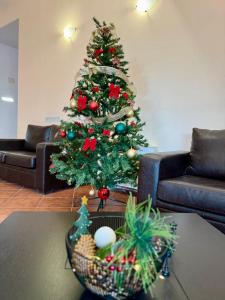 a christmas tree in a living room with a basket at Pamporovo Rhodopi Pearl Apartments - Private Apartments in Pamporovo