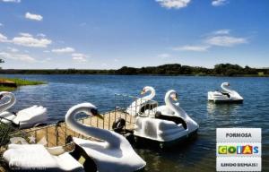 a group of swan boats in the water at Suíte Família 5 pessoas - Queen's Hotel in Formosa