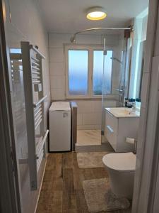 a bathroom with a toilet and a sink at Appartement parking gratuit in Illkirch-Graffenstaden
