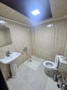 a bathroom with a toilet and a sink at Hovakimyans Garden And Pool in Zvartnots International Airport +12 photos