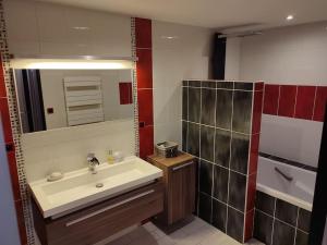 a bathroom with a sink and a mirror and a tub at Grand T2 lumineux avec parking in Nantes +4 photos