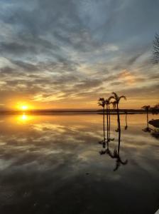 two trees in the middle of a body of water at La Juana in Almafuerte