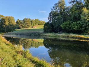 a view of a river with trees and a field at Schreinerhof in Sankt Oswald