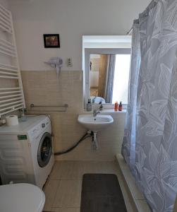 Un baño con lavadora y lavabo. en Sandor Apartment Calarasilor, en Târgu Mureș