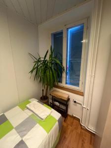 ein Schlafzimmer mit einem Bett und einer Topfpflanze in der Unterkunft Delemont Blues Hostel 03 in Delémont