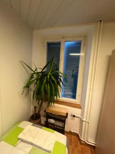 Ein Bett oder Betten in einem Zimmer der Unterkunft Delemont Blues Hostel 03
