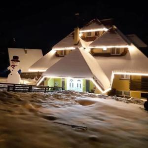 Vila Marina Divčibare v zimě