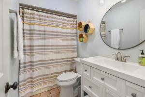 a bathroom with a sink and a toilet and a mirror at Red Donkey Cottage in Wimberley +33 photos