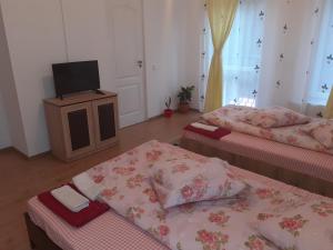 a room with two beds and a television in it at Pensiunea Casa Lircă in Topliţa