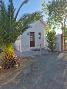 una pequeña casa blanca con una palmera delante de ella en House 1929, en Rouxville
