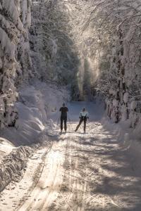 Natur- & Wanderhotel Tuxertal v zime