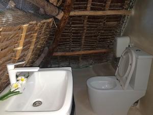 The Foxy Nests of Karibuni - Villa 184 & 145的一间浴室