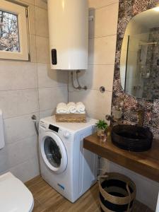 une machine à laver dans une salle de bain avec un miroir dans l'établissement Country House Lištani-renta quad, à Livno