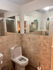 een badkamer met een toilet en een grote spiegel bij Lovely tidy and well decorated en-suite king sized bedroom in a shared 2 bedroom flat in Belle Isle