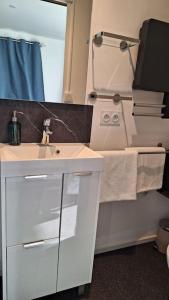 a bathroom with a white sink and a mirror at Maison studio, tiny house, parking privé, jardin in Toul +23 photos