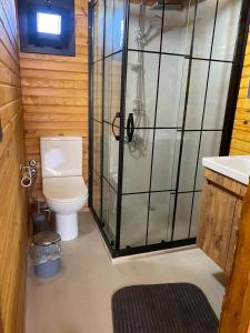 a bathroom with a toilet and a glass shower at Urla Bungalov Evleri in Urla