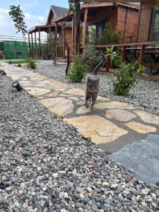 a cat walking on a stone path in front of a house at Urla Bungalov Evleri in Urla