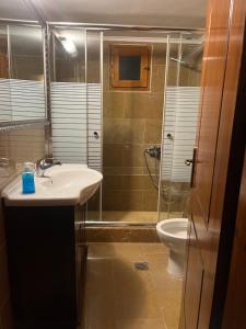 Bilik mandi di DimosApartment