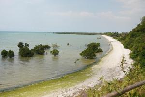 Billede fra billedgalleriet på Perfect Beach Villa In Bagamoyo i Bagamoyo