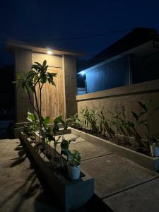 Zahrada ubytování Bayedan Homestay