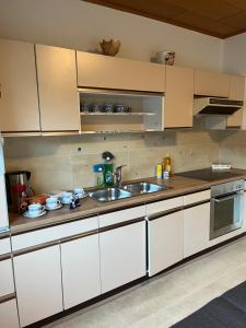 莱奥本Gemütliche Stadtwohnung Leoben, Gratis Parkplätze的带白色橱柜和水槽的厨房