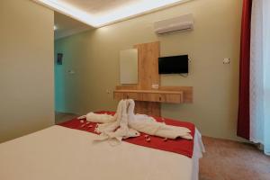 TV a/nebo společenská místnost v ubytování Tunacan Hotel