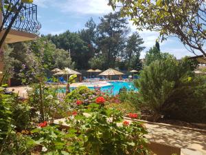 Bazén v ubytování Tunacan Hotel nebo v jeho okolí