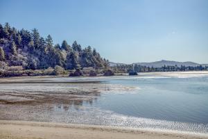 a view of a beach with trees and water at Neptunes Grand View in Lincoln City