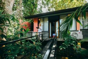 Zahrada ubytování Boho Jungle Studios + 37 fotografií