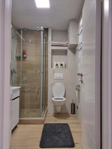Koupelna v ubytování Apartman 1