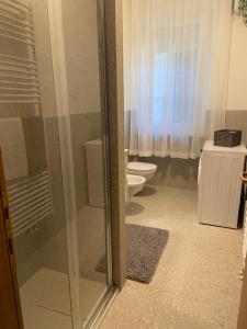 une salle de bain avec une douche en verre et des toilettes dans l'établissement Casa Bosco, à Levico Terme