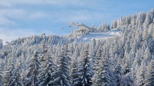 Apartament Stubai 3 Czarna Góra v zimě