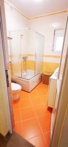 a bathroom with a shower and a toilet and a sink at Villa Nadija in Čanj +47 photos