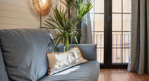 a blue couch in a living room with a plant at Parrot’s House in Lloret de Mar