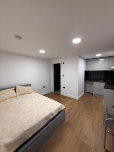 a large bedroom with a bed and a kitchen at Guest Suite in Waterlooville in Waterlooville