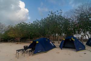 two blue tents on a sandy beach with trees at Camp Gili X - Gili Tangkong Island in Pulau Gilinanggu