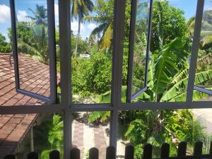 a view from the window of the garden at Travellers Home in Matara