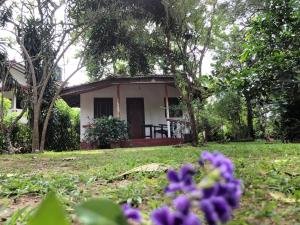 Zahrada ubytování Calm Garden Cabanas